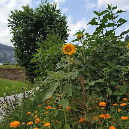 Lejlighed Upcycling Fischl - Nachhaltig Und Kreativ Wohnen Fuer Gross Und Klein *