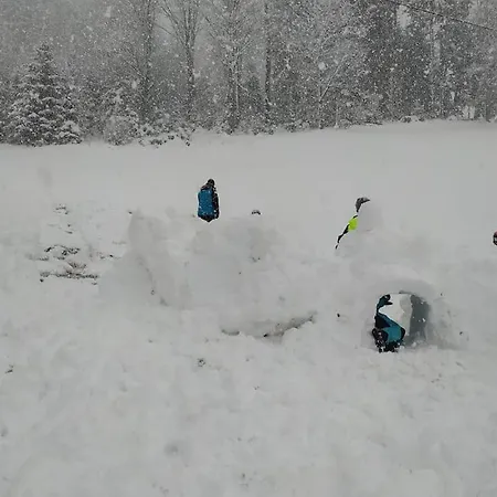 Upcycling Fischl - Nachhaltig Und Kreativ Wohnen Fuer Gross Und Klein Lejlighed *