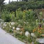 Upcycling Fischl - Nachhaltig Und Kreativ Wohnen Fuer Gross Und Klein